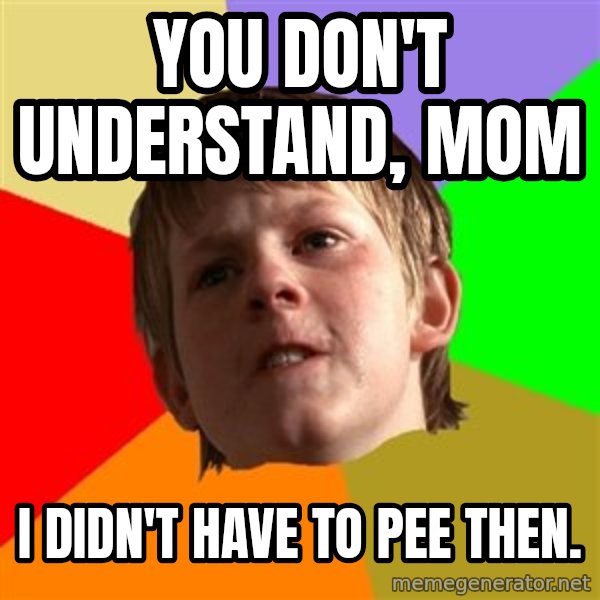 Angry School Boy meme: You don't understand, mom / I didn't have to pee then.