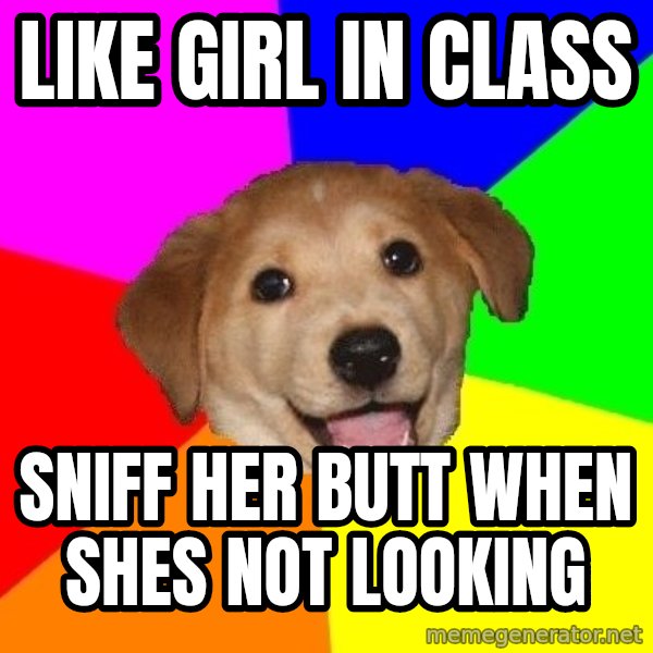 Advice Dog meme: like girl in class / sniff her butt when shes not looking