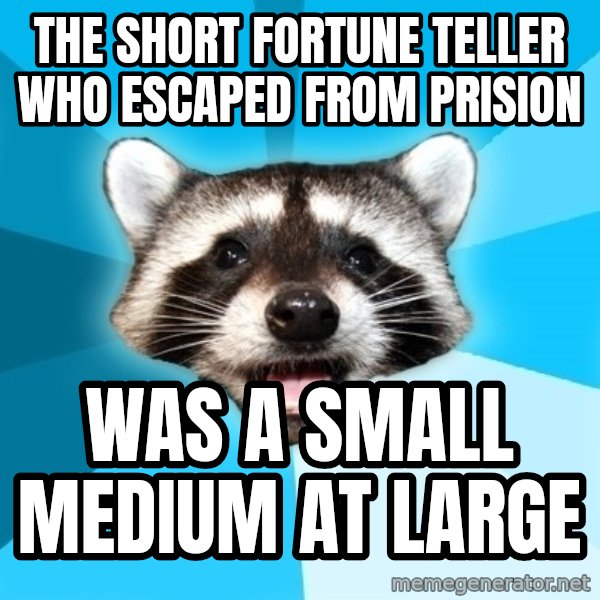 Lame Pun Coon meme: The short fortune teller who escaped from prision / was a small medium at large