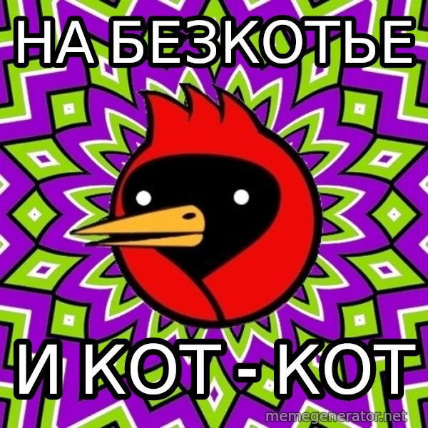 Omsk Crow meme: на безкотье / и кот - кот
