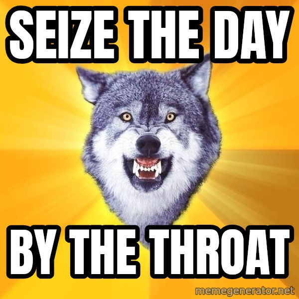 Courage Wolf meme: Seize The DAY / BY THE THROAT