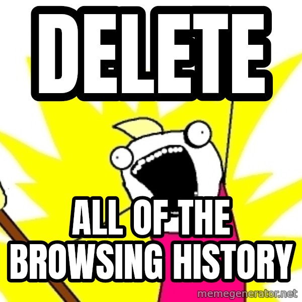 X ALL THE THINGS meme: DELETE / ALL OF THE BROWSING HISTORY