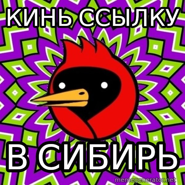 Omsk Crow meme: кинь ссылку / в сибирь