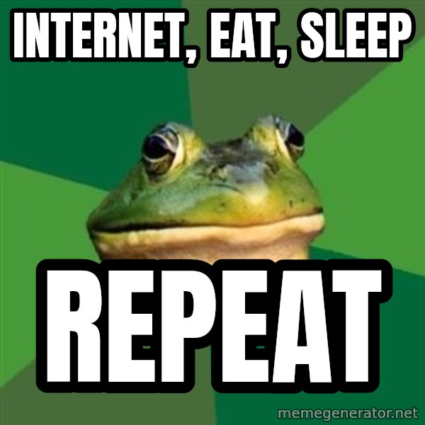 Foul Bachelor Frog meme: Internet, eat, sleep / Repeat