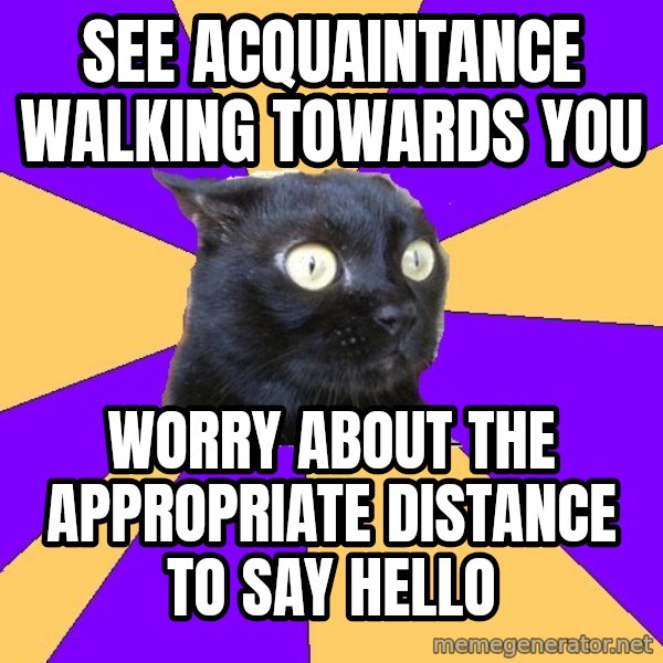 Anxiety Cat meme: see acquaintance walking towards you / worry about the appropriate distance to say hello
