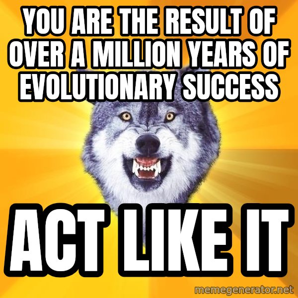 Courage Wolf meme: You are the result of over a million years of evolutionary success / Act Like It