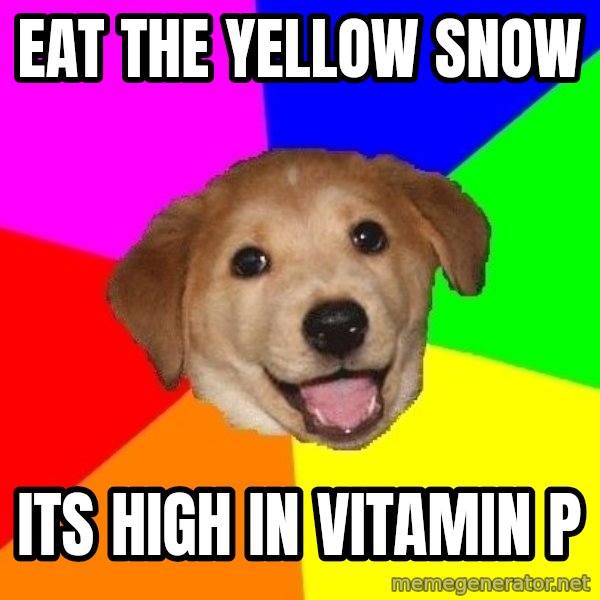 Advice Dog meme: eat the yellow snow / its high in vitamin p