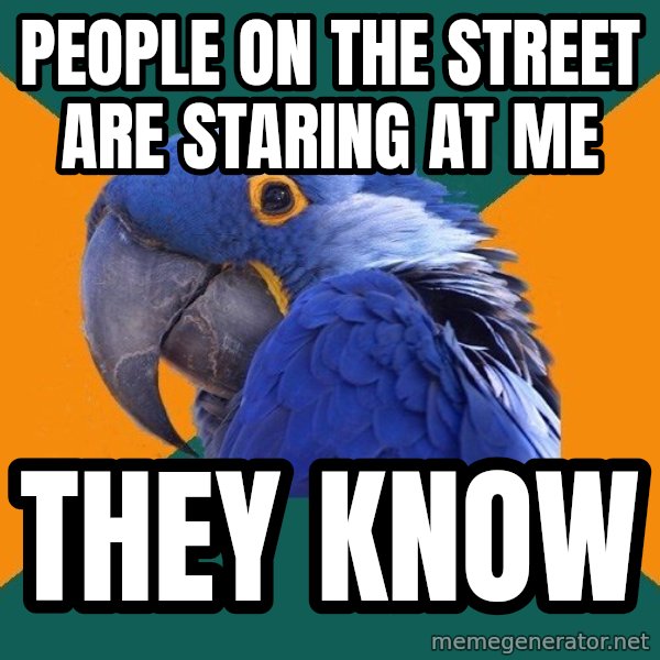 Paranoid Parrot meme: People on the street are staring at me / they know