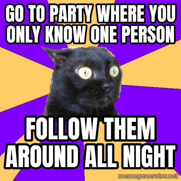 Anxiety Cat meme: go to party where you only know one person / Follow them around all night