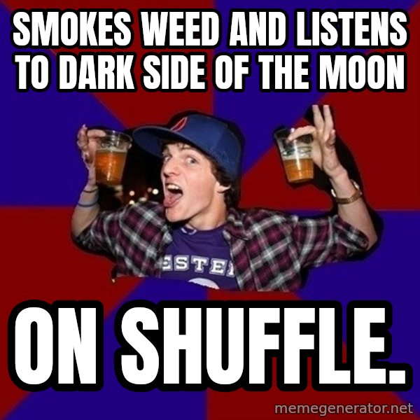 Sunny Student meme: Smokes weed and listens to dark side of the moon / On shuffle.