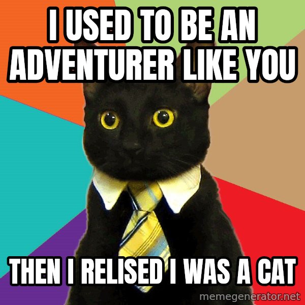 Business Cat meme: i used to be an adventurer like you / then i relised i was a cat