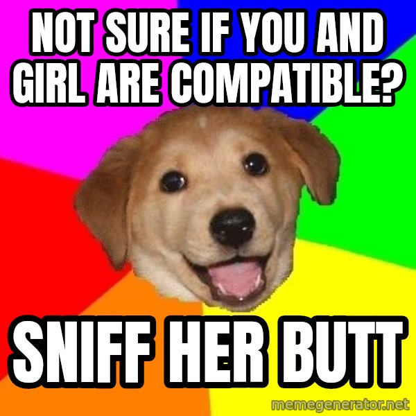 Advice Dog meme: not sure if you and girl are compatible? / sniff her butt