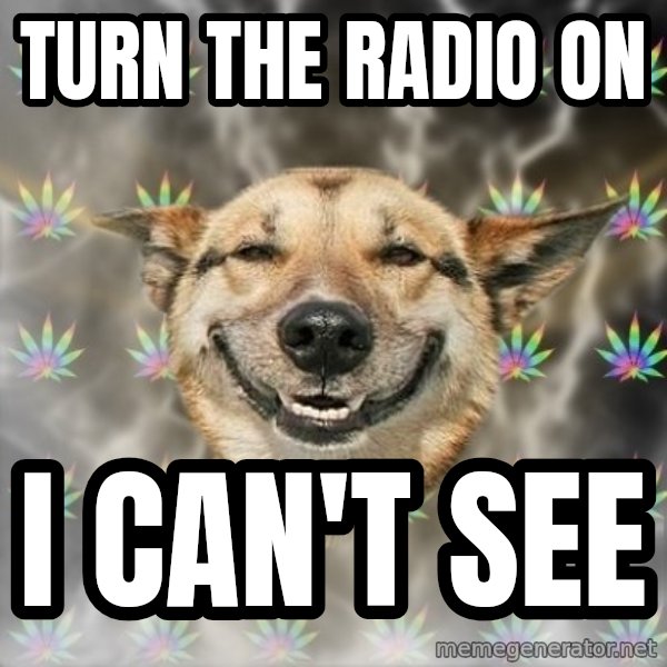 Stoner Dog meme: Turn THE RADIO ON / I can't SEE
