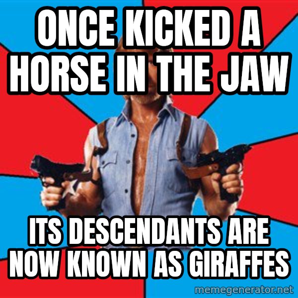 Chuck Norris  meme: Once kicked a horse in the jaw / its descendants are now known as giraffes