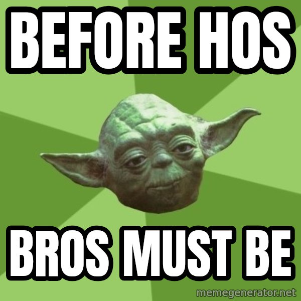 Advice Yoda Gives meme: BEFORE HOS / BROS MUST BE