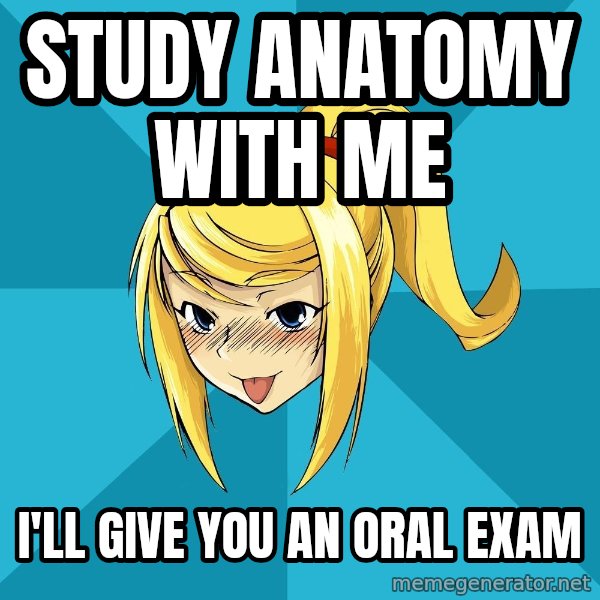 Horney Samus meme: Study anatomy with me / I'll give you an oral exam