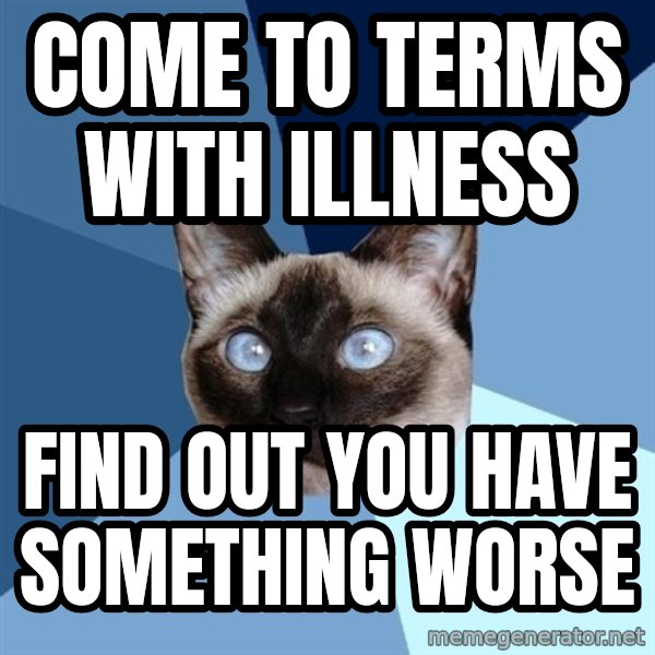 Chronic Illness Cat meme: come to terms with illness / find out you have something worse