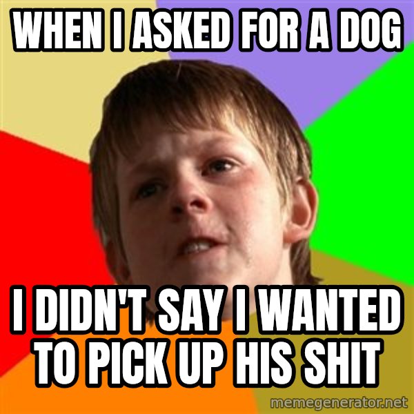 Angry School Boy meme: when i asked for a dog / i didn't say i wanted to pick up his shit