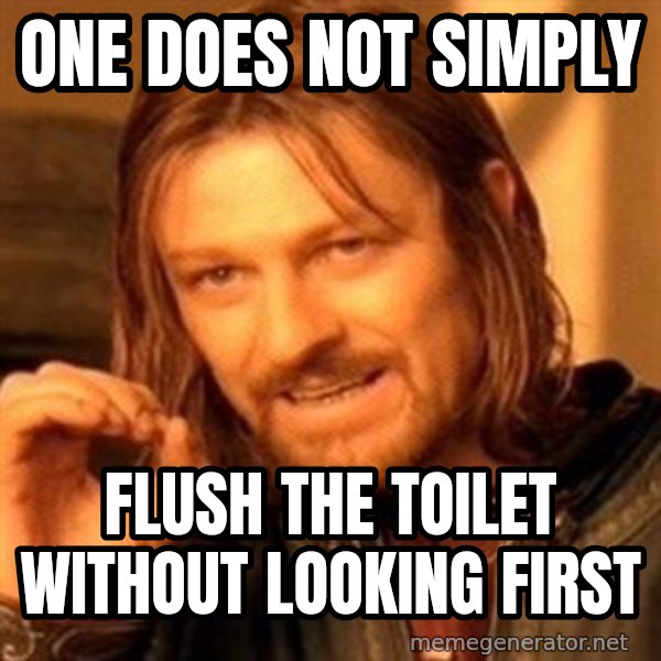 One Does Not Simply meme: one does not simply / flush the toilet without looking first