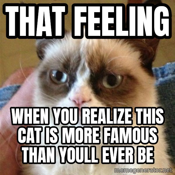 Grumpy Cat  meme: that feeling / when you realize this cat is more famous than youll ever be