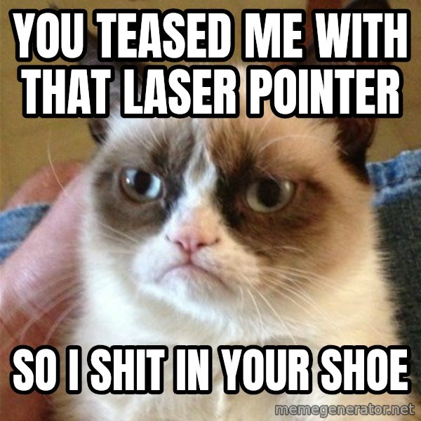 Grumpy Cat  meme: you teased me with that laser pointer / so i shit in your shoe