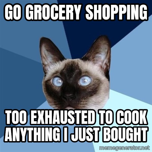 Chronic Illness Cat meme: go grocery shopping / too Exhausted to cook anything I just bought
