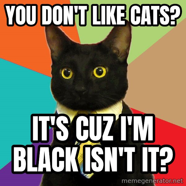 Business Cat meme: you don't like cats? / it's cuz i'm black isn't it?