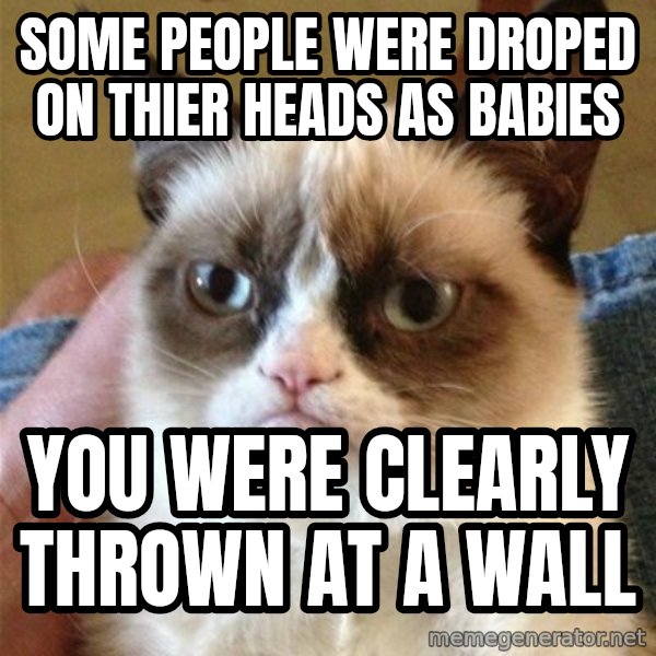 Grumpy Cat  meme: some people were droped on thier heads as babies / you were clearly thrown at a wall