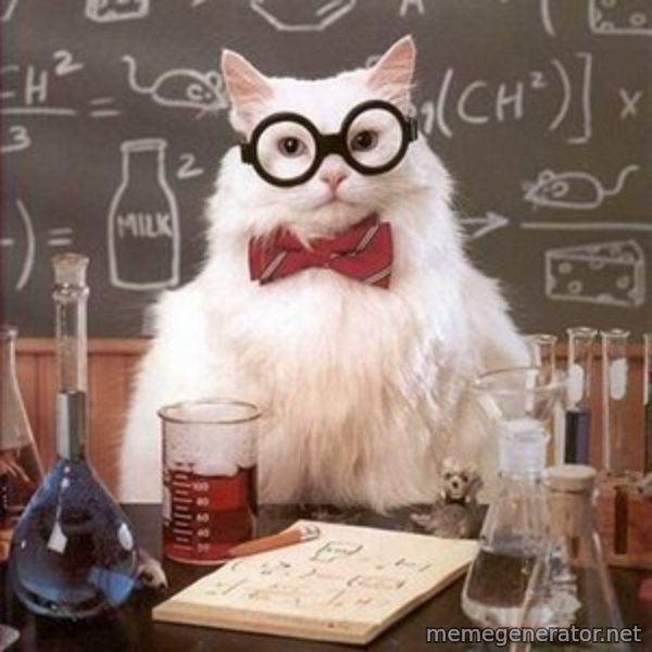 Chemistry Cat meme template