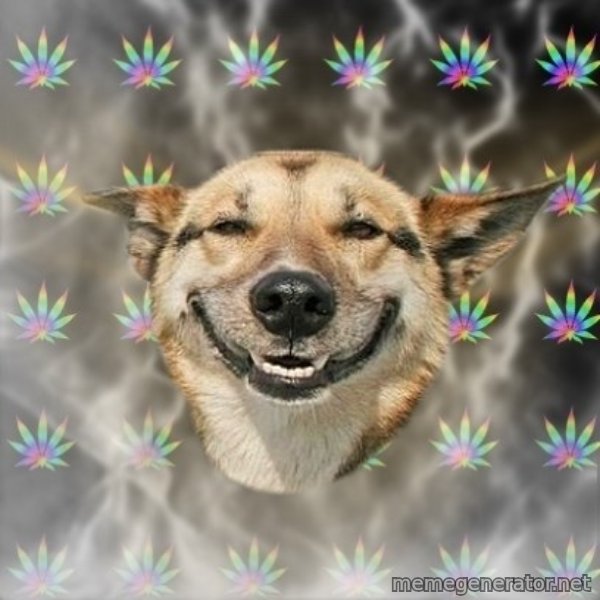 Stoner Dog meme template