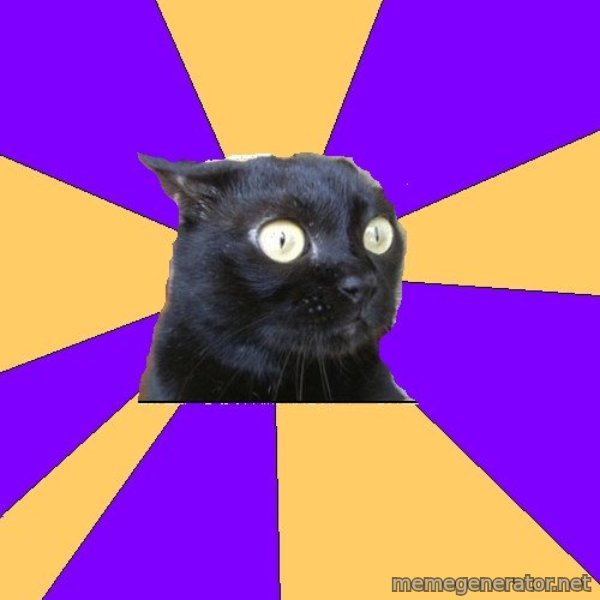 Anxiety Cat meme template